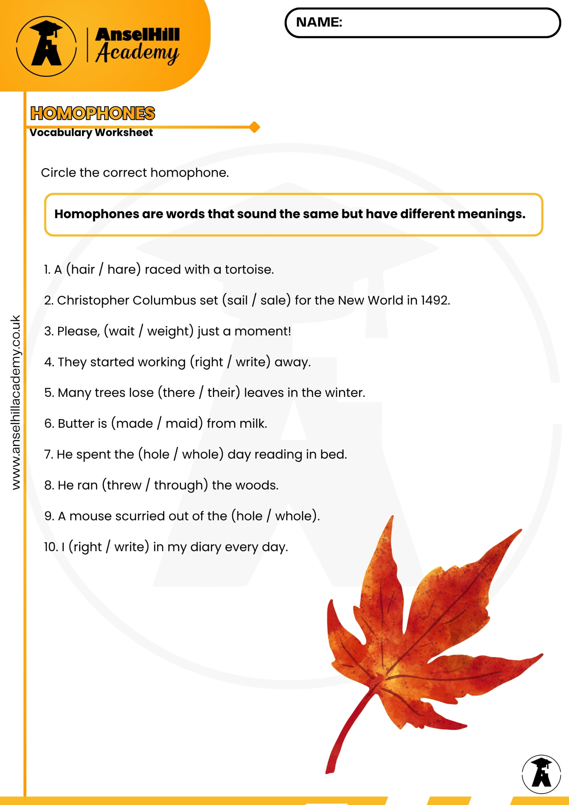 Homophones Vocabulary Worksheet & Answer Key – Digital Download - Image 2